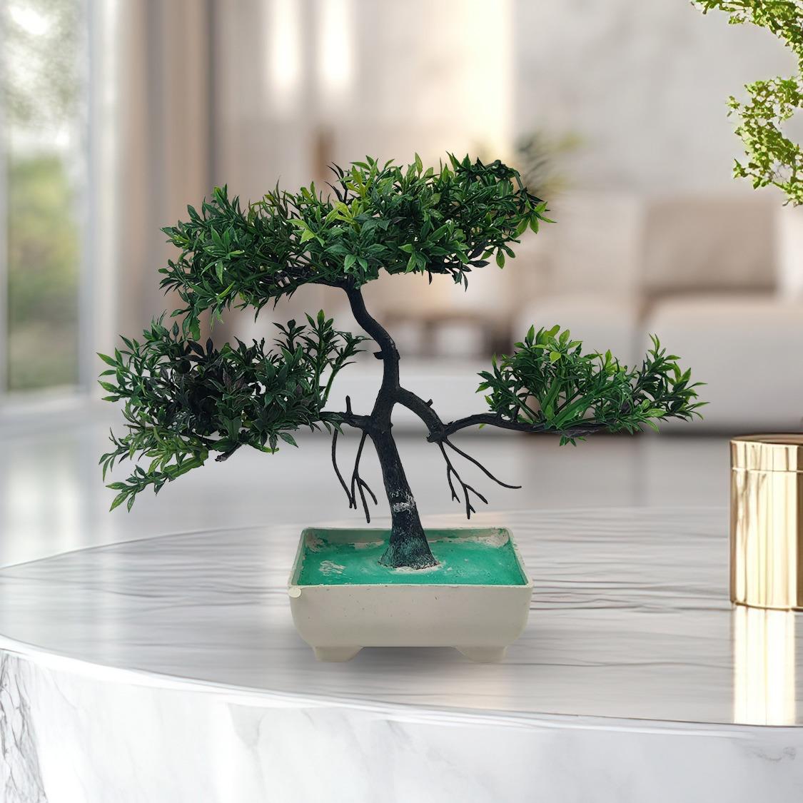 Pack Of 3 Bonsai Trees
