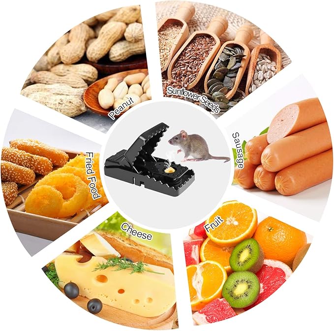 Heavy Duty Plastic Mouse Trap (Random color) - Pack off 1