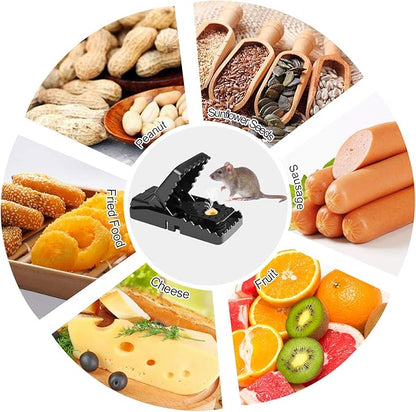 Heavy Duty Plastic Mouse Trap (Random color) - Pack off 1