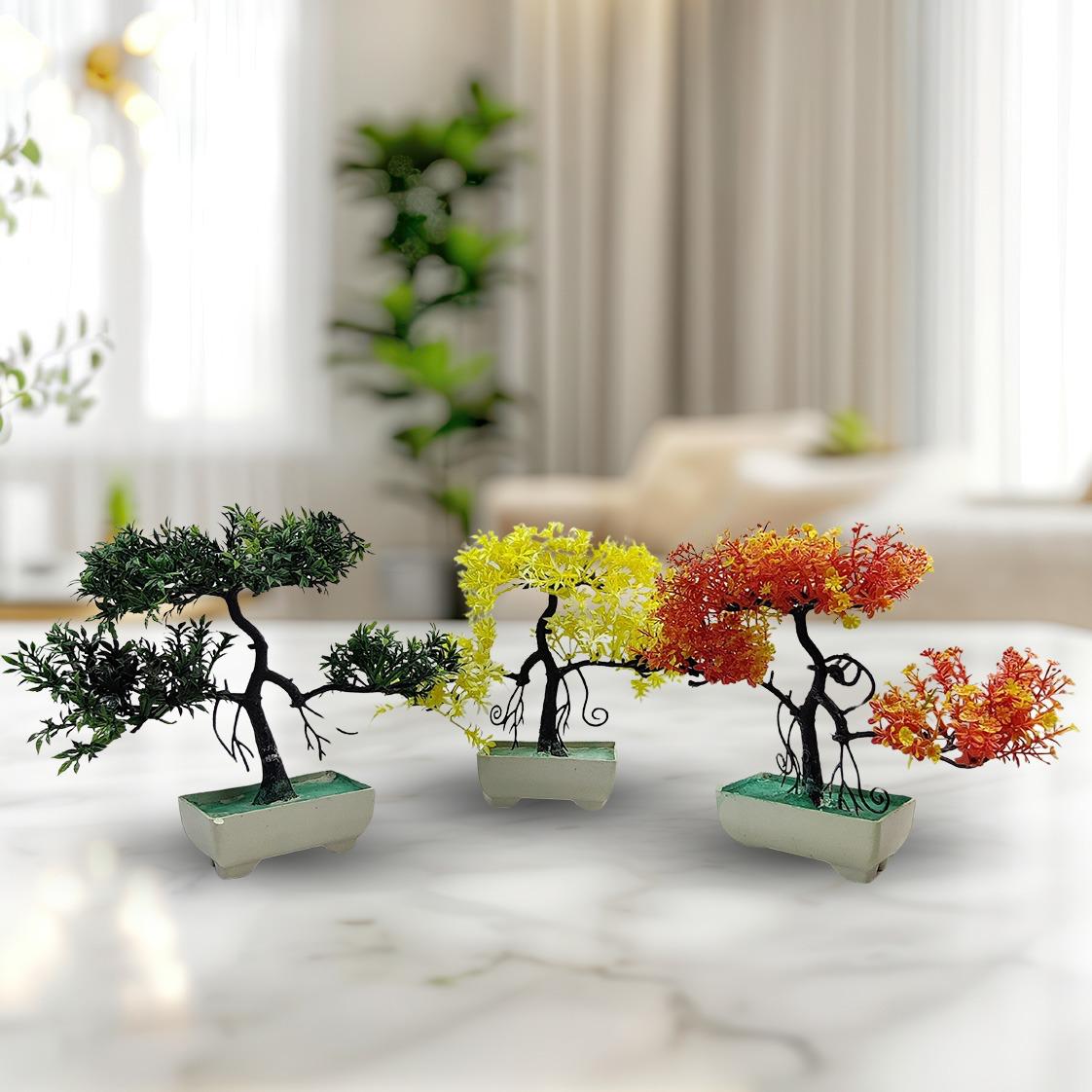 Pack Of 3 Bonsai Trees