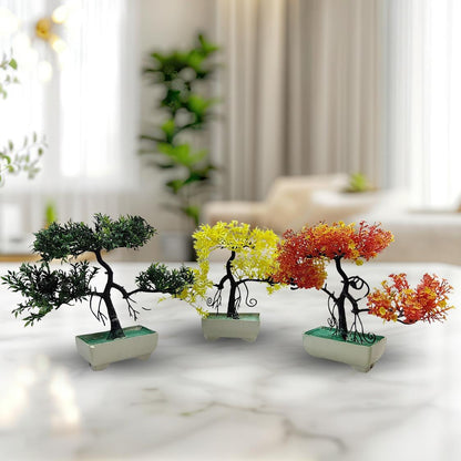 Pack Of 3 Bonsai Trees